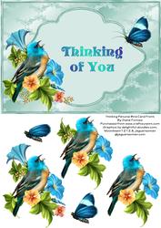 Thinking Petunia Bird Card Front