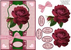 Love Rose Card Front