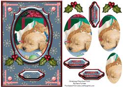 Christmas Pets Card Front