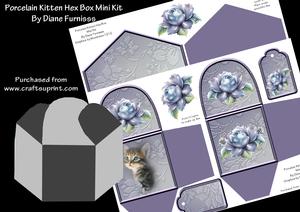 Porcelain Kitten Hex Box Mini Kit