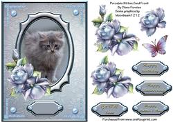 Porcelain Kitten Card Front