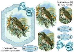 Bird Card Front (1)