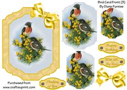 Bird Card Front (3)