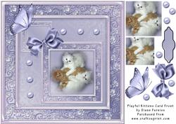 Playful Kittens Card Front