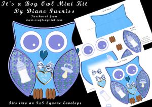 It's a Boy Owl Mini Kit