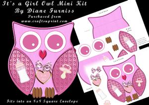 It's a Girl Owl Mini Kit