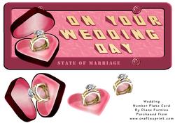 Wedding Number Plate Card