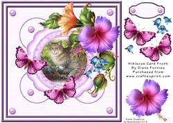 Hibiscus Card Front