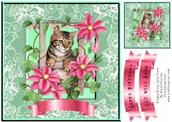 Simply Kitty Card Front