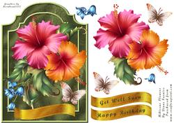 Hibiscus Flower