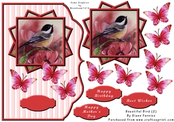 Beautiful Bird (2)