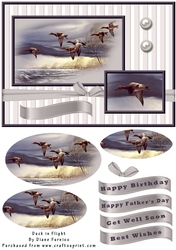 Ducks in Flight