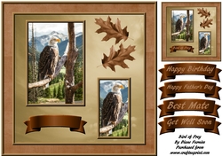 Bird of Prey
