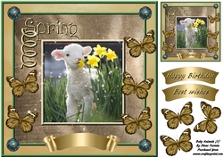 Baby Animals (1)