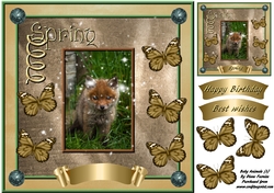Baby Animals (3)