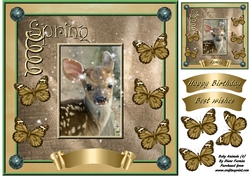 Baby Animals (4)