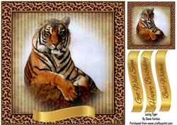 Lazing Tiger