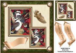 Australian Kookaburras