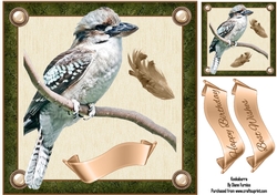 Kookaburra