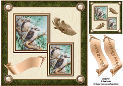 Kookaburras