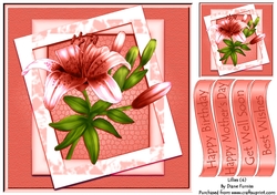 Lillies (4)
