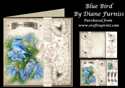 Blue Bird Mini Kit