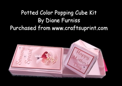 Potted Color Popping Cube Kit
