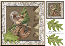 Squirrel Card Front