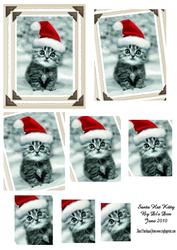 Santa Hat Kitty