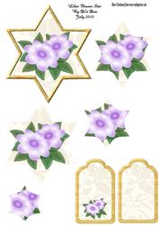 Lilac Flower Star