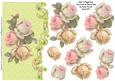 Sister Vintage Rose