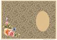 Rosy Glow Insert