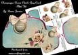 Champagne Roses Clutch Bag Mini Kit