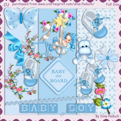 Baby Boy01