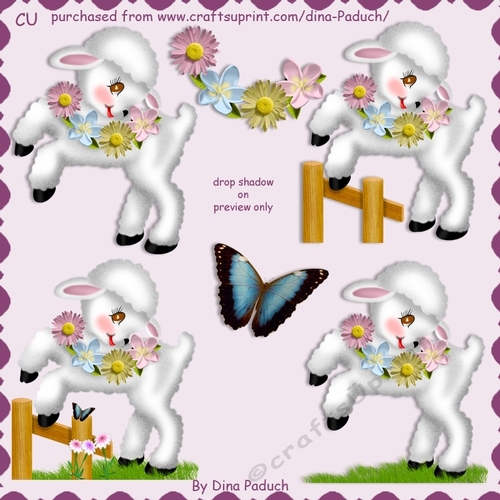 Lammie the Lamb02