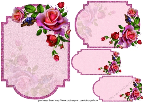 Roses and butterfly05