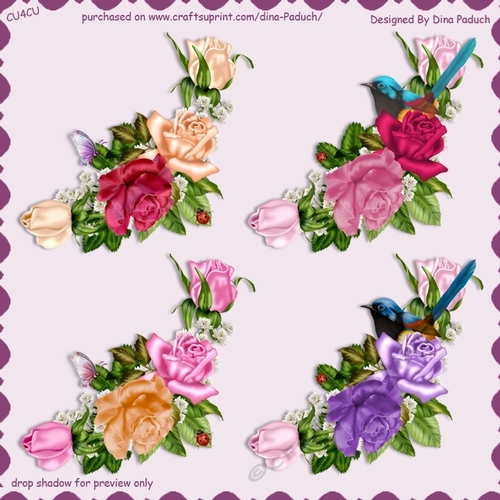 Vignettes Roses06