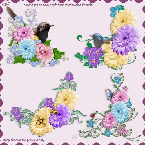 Vignettes_Dahlias02