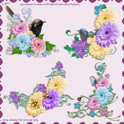 Vignettes_Dahlias02