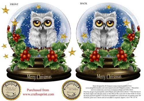 Small Snow Globe for Christmas-Snow Owl- #31