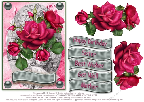Roses for lots of occasions #1