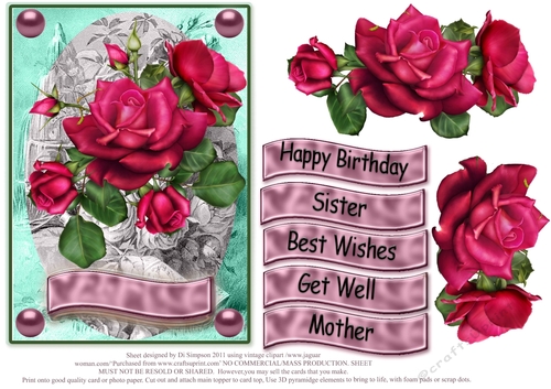 Roses for lots of occasions #2