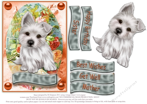 Puppy for lots of occasions #3