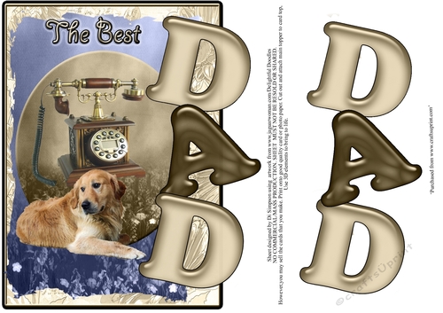 For DAD on his birthday _ 12