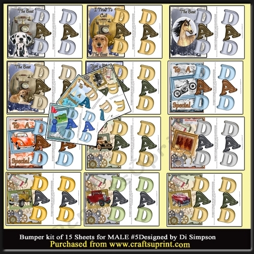 Buper Kit- For DAD on lots of occasions #5