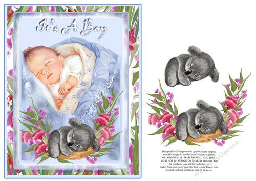 Its A Boy- Ozzie Themed 
