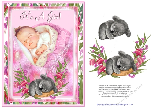 Its A Girl- Ozzie Themed 