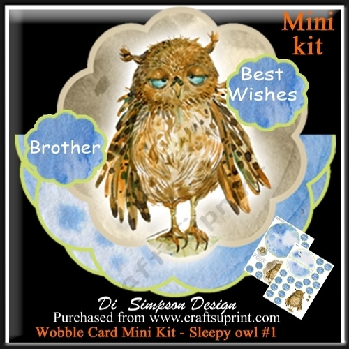 Wobble Card Mini Kit- Sleepy Owl for lots of occasions #1