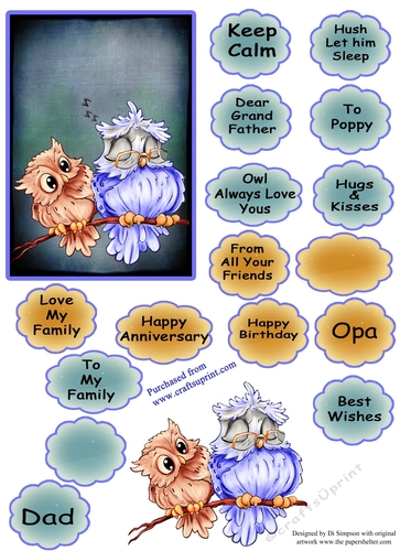 #2 Owl topper for Male for lots of occasions. For 6X4 inch card