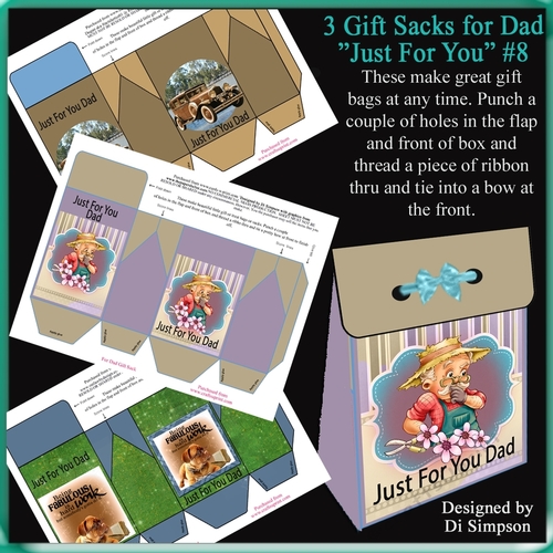 3 Gorgeous Gift Sacks-Just For You Dad-no.2